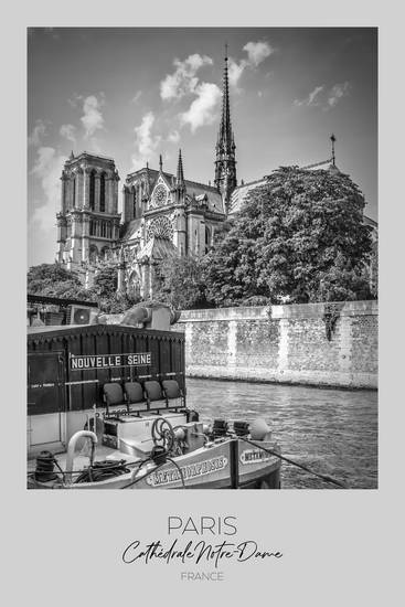 In focus: PARIS Cathedral Notre-Dame 