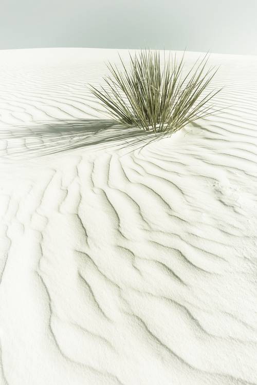 Vintage Dune from Melanie Viola
