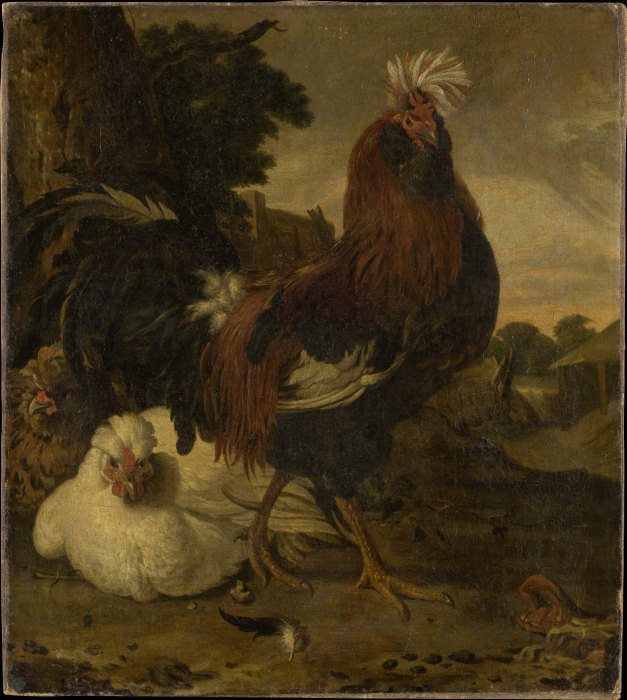 Cock in a Barnyard from Melchior de Hondecoeter