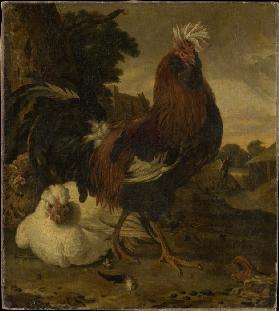 Cock in a Barnyard