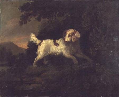 Study of Clumber Spaniel in Wooded River Landscape from Michael Cooper