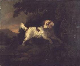 Study of Clumber Spaniel in Wooded River Landscape
