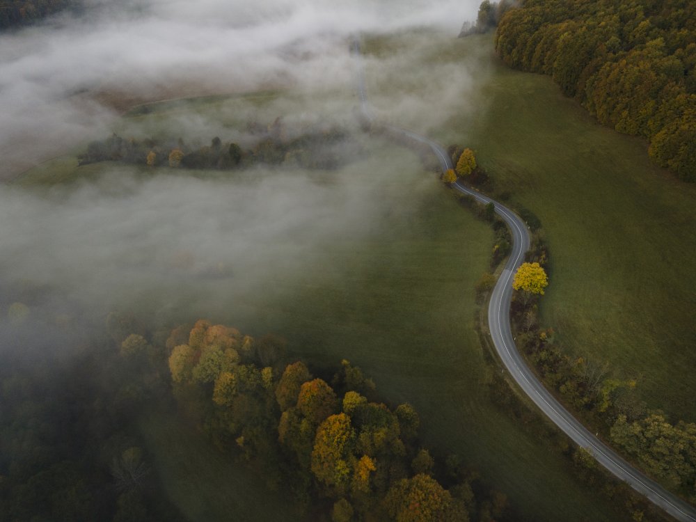 Autumn fog from Michaela Kubasova