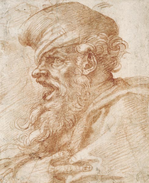 Head of a Bearded Man Shouting from Michelangelo Buonarroti