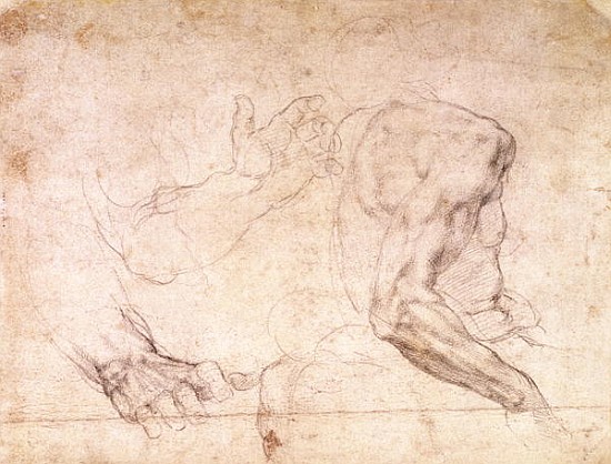 Studies of hands and an arm(verso) from Michelangelo Buonarroti