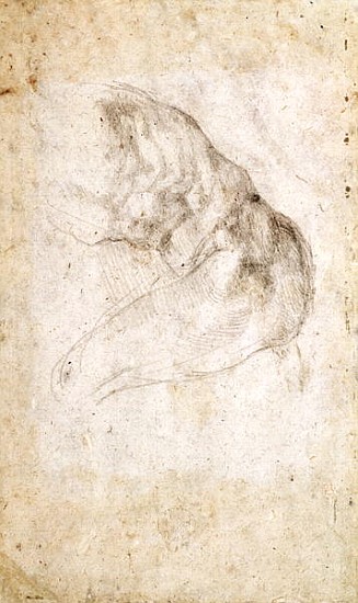Study for The Creation of Adam(verso) (for recto see 191766) from Michelangelo Buonarroti