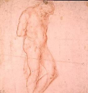 Study of a Nude (red chalk) Inv.1896/7/10/1 Verso (W.64)