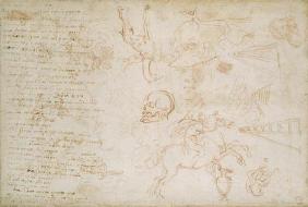 Study of heads and animals, c.1525 (red chalk & pen on paper)