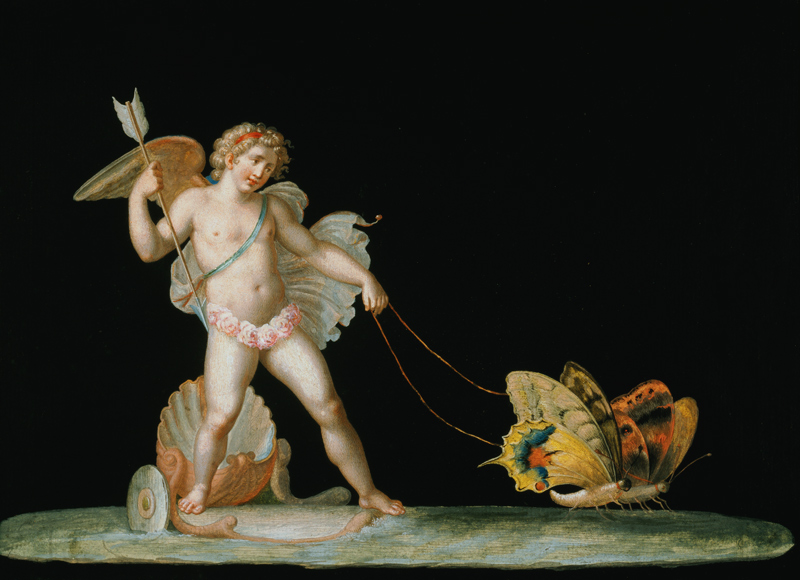 Cupid led by butterflies from Michelangelo Maestri