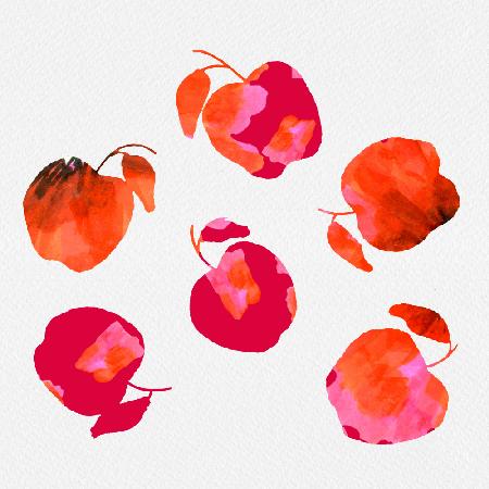 Apple  Chiffon Pink Orange