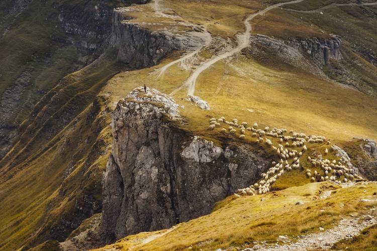 Alpine Pastures from Mihai Ian nedelcu