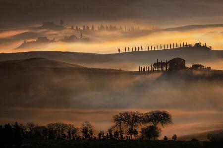 FOGS IN TUSCANY