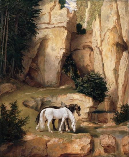 A hermit leads horse to the watering-place