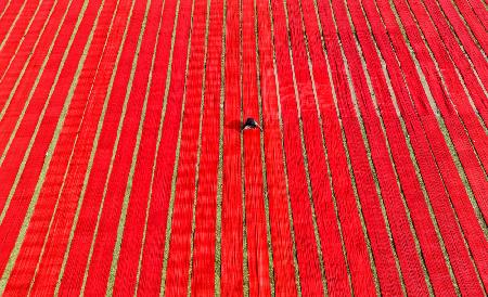 Drying red fabric