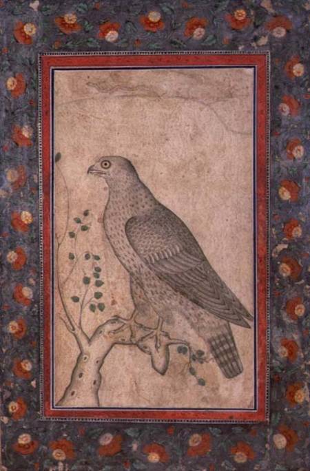 Falcon perched on a leafy stump from Mughal School