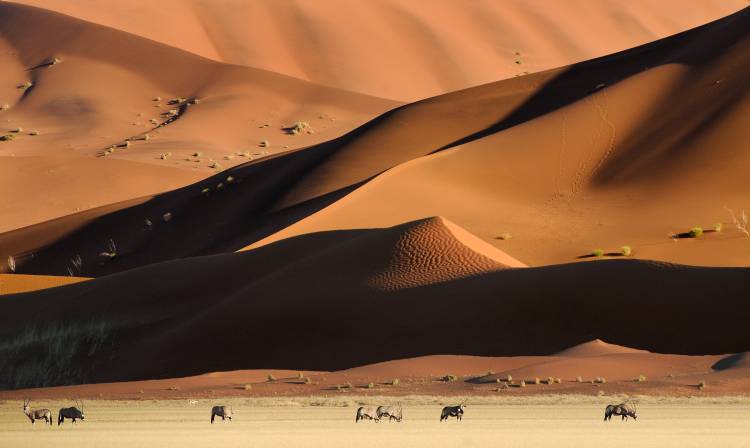 Namib Dunes from Muriel Vekemans