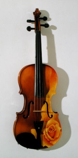 The Rose of Violin from Myung-Bo  Sim