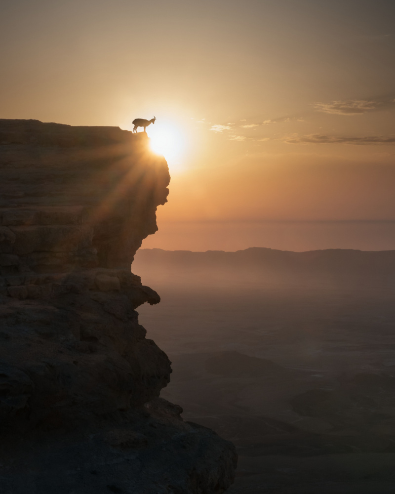 Desert Sunrise from Nadav Jonas