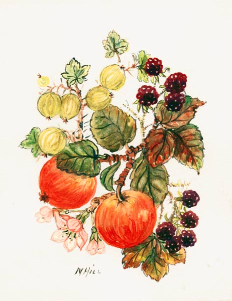 Brambles, Apples and Grapes (w/c on paper)  from Nell  Hill