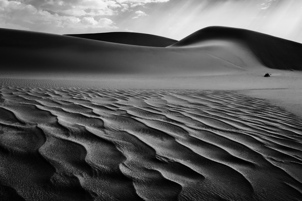 The Living Dunes, Namibia I from Neville Jones