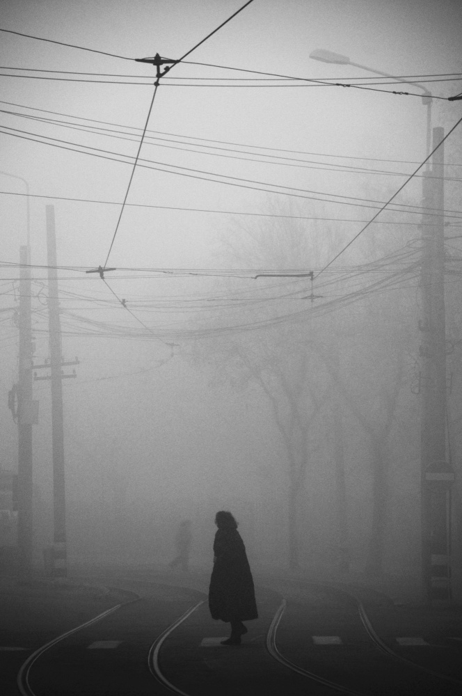days of mist from nicoleta gabor