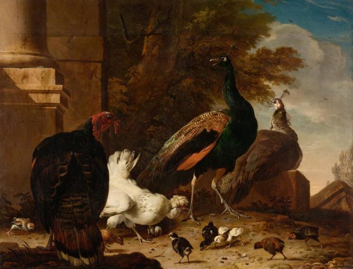 A Hen with Peacocks and a Turkey from 
