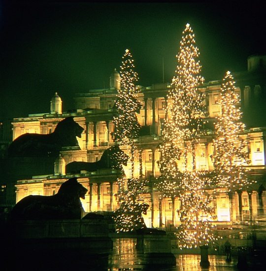 Christmas Lights at the National Gallery from 