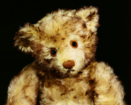 Close Up Of A Steiff ''Dual'' Mohair Teddy Bear, C, 1926 from 