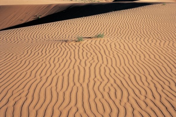 Coral Sand Dunes (photo)  from 