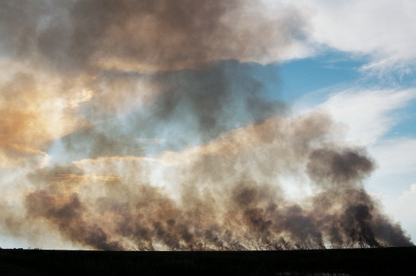 Forest Fire, Everglades National Park (photo)  from 