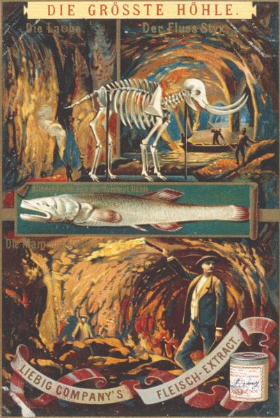 Mammoth Cave , Liebig Card from 