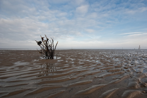 Wadden Sea near Cuxhaven from 