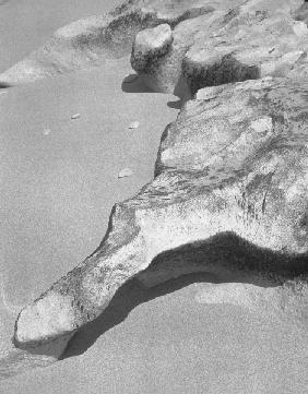Rock on sand, Porbandar III (b/w photo) 