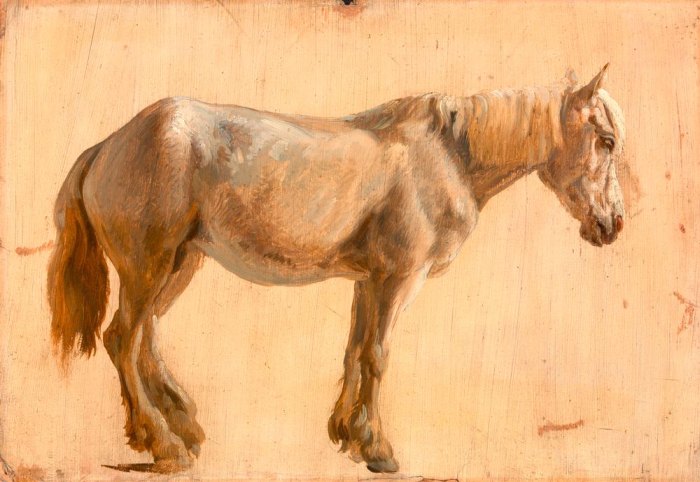 Study of a Grey Horse from 