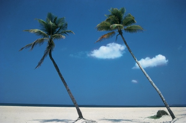 Typical beach of Goa (photo)  from 