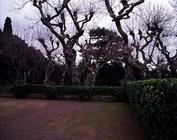 The Garden of the 'Alberi Secolari' (Age-Old Trees) designed for Cardinal Pietro Aldobrandini by Gia