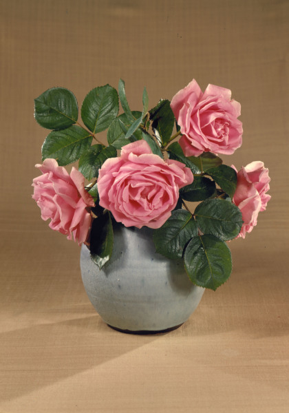 Vase mit rosafarbenen Rosen / Foto from 