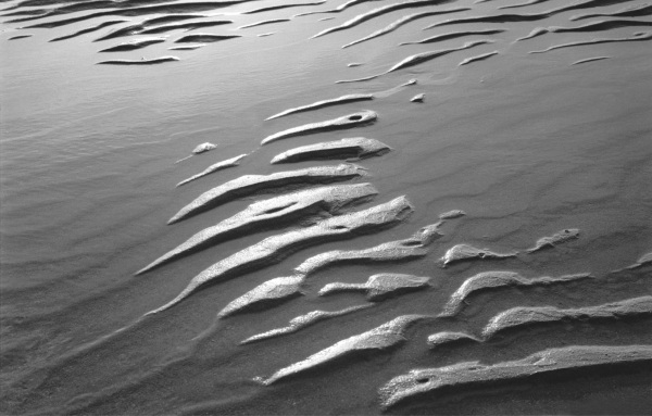 Wet sand, Porbandar (b/w photo)  from 