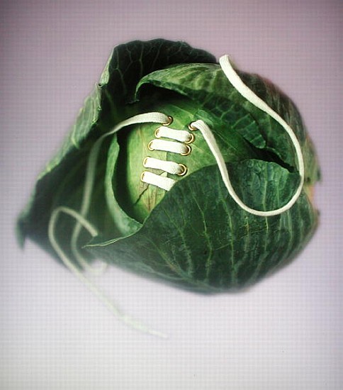 Cabbage with laces, 2000 (colour photo)  from Norman  Hollands