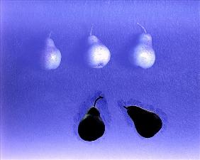 Blue Pears (after Wm. Scott) 2005 (colour photo) 