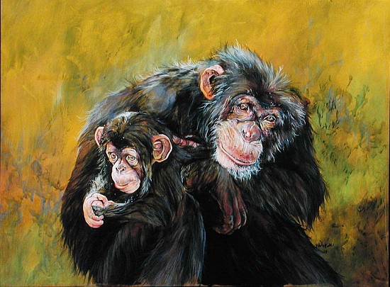 Chimpanzees (acrylic on canvas)  from Odile  Kidd