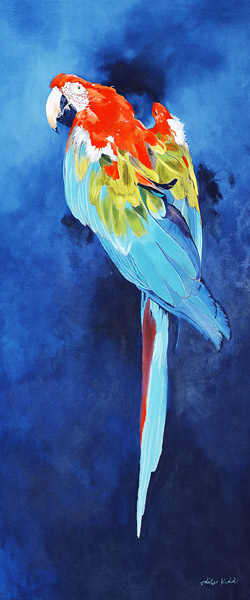 Red and Blue Macaw, 2002 (acrylic on linen)  from Odile  Kidd