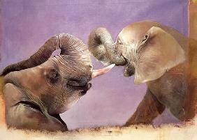 Elephants at Play, 2001 (acrylic on canvas) 