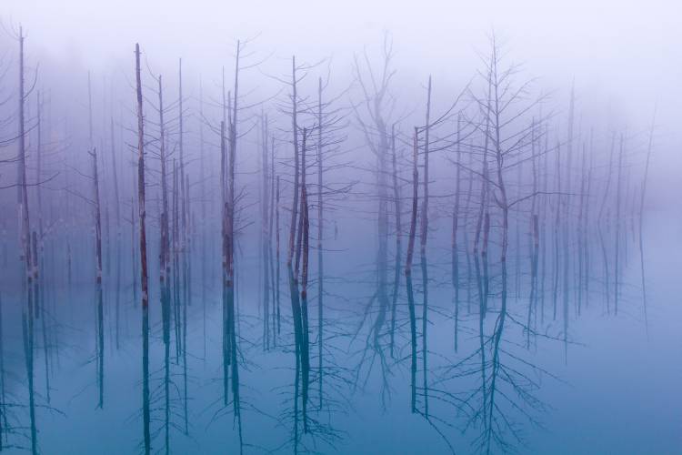 Misty Blue Pond from OSAMU ASAMI