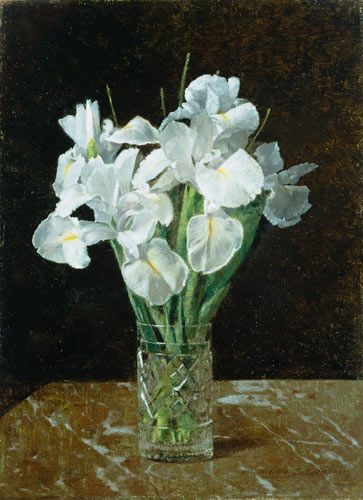 Irises from Otto Franz Scholderer