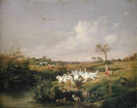 Geese Grazing from Otto Speckter