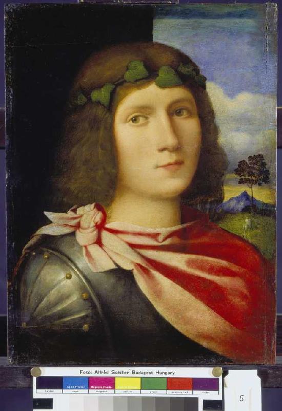 Half-length portrait of a juvenile. from Palma il Vecchio (eigentl. Jacopo Negretti)
