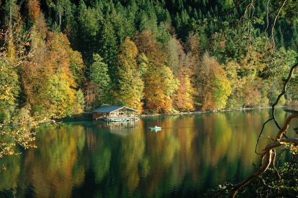 Farbenrausch am Alpsee from 