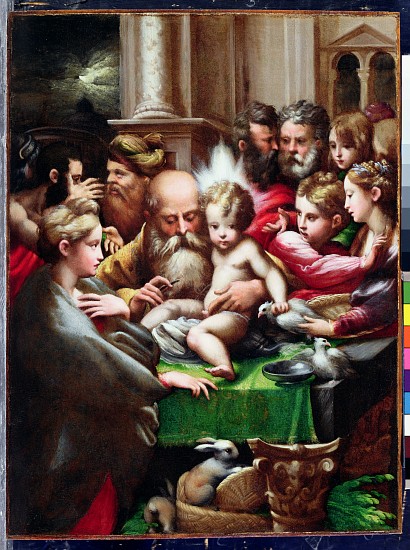 The Circumcision from Parmigianino