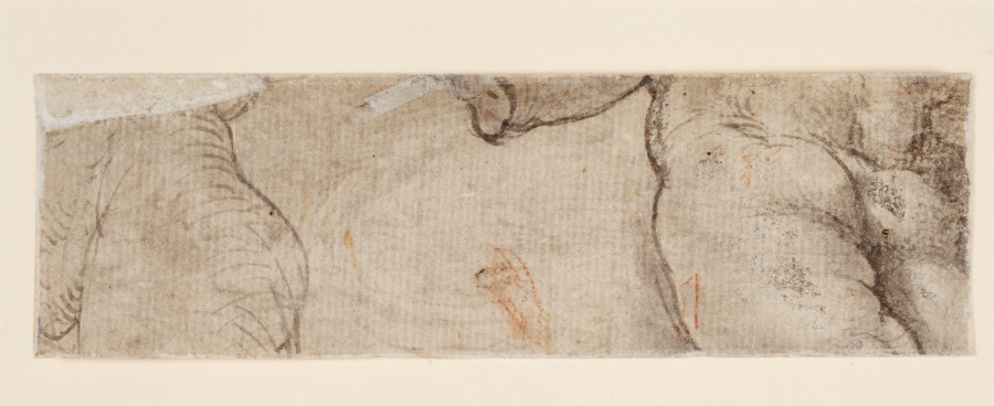 Zwei Puttenkörper (fragmentarisch) from Parmigianino